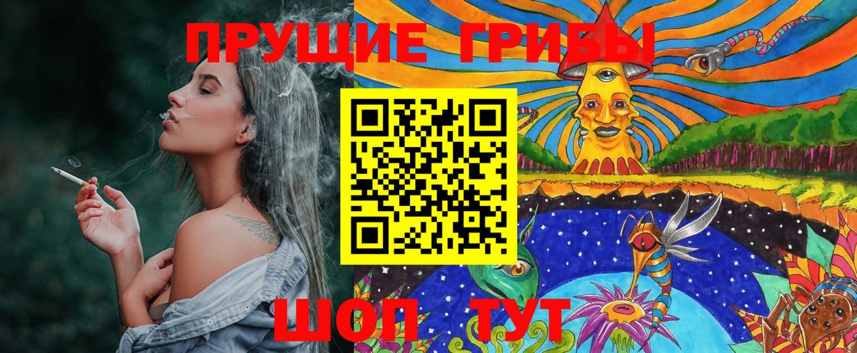 Шатура  Галлюциногенные грибы GOLDEN TEACHER  где купить наркотик  Вход с VPN 